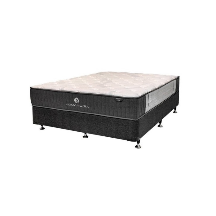 SleepMax Base With X-Firm Mattress