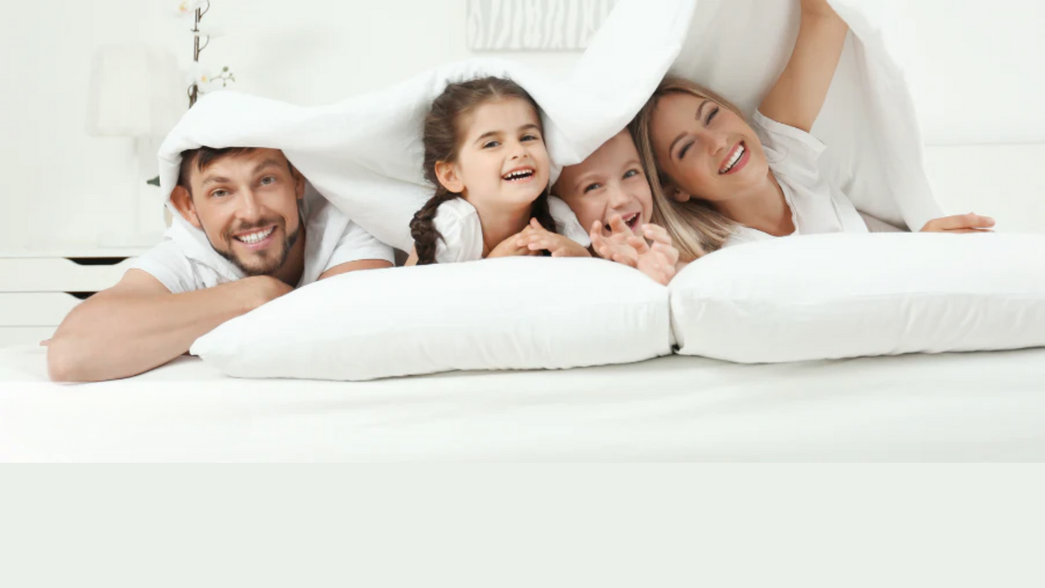 NAPNEST BEDS PREMIUM COLLECTION