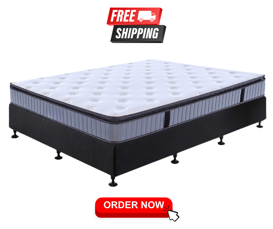 QUEEN BASE WITH PILLOW TOP MATTRESS